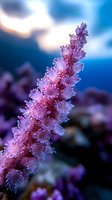 Purple coral polyps extending delicate tentacles in underwater marine environment with soft blue background lighting for aquarium and ocean life concepts.