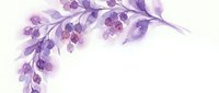 Watercolor purple floral branch with delicate leaves and flowers on white background, isolated botanical element for wedding invitations and design projects.