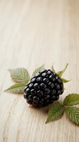 Ripe blackberry with green leaves on light wooden surface, suitable for food, nutrition, and culinary design projects.