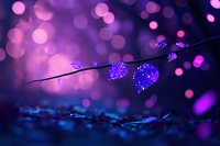 Purple heart-shaped decorations on string lights with magical bokeh background creating romantic Valentine's Day atmosphere for celebrations.