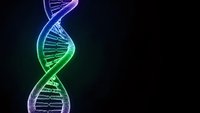 Glowing DNA double helix structure with vibrant purple and green gradient colors on dark background for genetic research and biotechnology concepts.