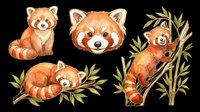 Cute red panda characters in various poses isolated on transparent background. Perfect for t-shirt designs, stickers, clipart, print-on-demand products, sublimation projects and children's illustrations.