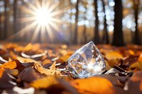 Crystal diamond resting on autumn leaves with sunlight rays streaming through forest trees creating magical bokeh background for luxury jewelry concepts.