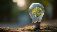 Green tree growing inside light bulb on forest floor with blurred natural background, symbolizing environmental conservation and sustainable energy solutions.