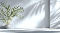 Elegant palm plant in white ceramic pot against minimalist white wall with soft shadow play, creating serene home decor atmosphere.