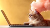 Orange tabby kitten wearing glasses sitting next to laptop computer with pink smoke cloud background for creative business and technology concepts.