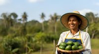Young South Asian male farmer wearing straw hat and apron holding basket of fresh green mangoes in tropical orchard plantation setting.