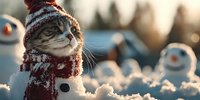 Adorable tabby kitten wearing knitted winter hat and scarf sitting in snow with snowmen during golden hour sunset creating magical holiday scene.