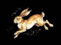 Watercolor running hare with floral accents, isolated on transparent background. Ready for t-shirt design, stickers, print on demand, clipart, and sublimation use.