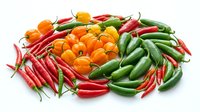 Fresh colorful chili peppers variety including red cayenne, green jalapeno and orange habanero peppers isolated on white background for cooking and spice.
