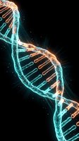 Glowing DNA double helix structure with turquoise and orange neon light effects on black background, representing genetic research, biotechnology, and molecular science.