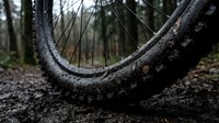 Mountain bike tire with deep tread pattern on forest trail ground, suitable for outdoor sports and adventure marketing materials.