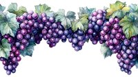 Watercolor grape vine border with purple clusters and green leaves, seamless horizontal pattern for wine labels, menu designs and decorative frames.
