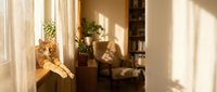 Orange tabby cat relaxing on wooden windowsill in warm sunlit living room with houseplants and cozy home interior decor.