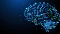 Digital brain with glowing neural networks and circuit patterns on dark blue background for technology and artificial intelligence concepts.