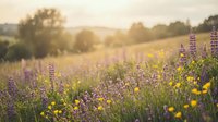 Sunny wildflower meadow with purple lupines and yellow blooms glowing in warm golden light, soft bokeh background, serene summer nature scene.