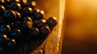 Fresh dark grapes with water drops in warm golden sunlight against blurred background, macro photography with selective focus and bokeh effect.