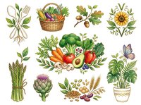 Isolated garden and farm elements including vegetables, fruits, herbs, potted plants, basket, utensils and flowers on transparent background. Ready for design, clipart and decorative use.