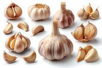 Fresh garlic bulbs and cloves collection isolated on white background, top view. Natural organic ingredients for cooking and healthy eating concept.