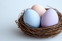 Pastel colored eggs in natural brown twig nest against white background. Soft focus macro photography highlights delicate textures and spring holiday themes.