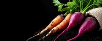Fresh organic carrots and purple beets with soil particles and green tops on black background, raw vegetables in rustic style for healthy eating concept.