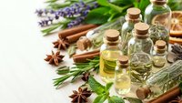 Essential oils in glass bottles with lavender, rosemary, mint and cinnamon spices for aromatherapy, natural wellness and spa treatments on white background.
