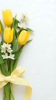 Fresh yellow tulips bouquet with white spring flowers tied with a ribbon on a white background, perfect for greeting cards.