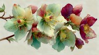 Watercolor hellebore flowers in soft pastel colors with delicate petals and golden centers on brown stems, botanical floral arrangement for spring decor.