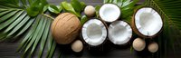 Fresh coconuts with palm leaves on dark wooden background, whole and halved, showing white flesh and tropical limes.