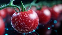 Fresh red tomato covered in water droplets on dark background with bokeh effect, macro photography showing detailed texture and natural organic produce.