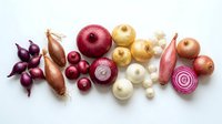 Assorted onion varieties arranged in rows on white background, including red, yellow, and white types, some sliced to show interior layers and rings.