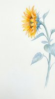 Watercolor sunflower with stem and leaves on light background for botanical art, greeting cards, wedding invitations and floral design projects.