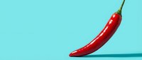 Fresh red chili pepper on bright turquoise background, isolated for culinary, food packaging, recipe blogs, and cooking-related design projects.
