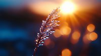 Delicate reed grass silhouette against golden sunset with bokeh lights, dramatic nature macro photography with shallow depth of field and warm evening glow.