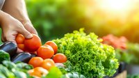 Hand picking fresh cherry tomatoes from organic vegetable garden with green leafy vegetables in sunny natural outdoor setting for healthy eating.
