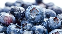 Fresh ripe blueberries with water drops macro shot, natural organic berries close up showing texture and juicy details for healthy eating concept.