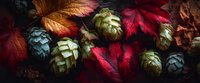 Autumn composition with vibrant red maple leaves and green hop cones on dark background. Seasonal harvest concept for craft beer brewing.