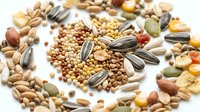 Assorted seeds and nuts arranged in a spiral on white background, including sunflower, pumpkin, sesame, and dried fruits for healthy nutrition concept.