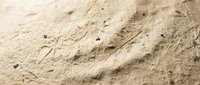 Close-up of fine beach sand texture with natural patterns and small debris particles creating organic surface detail for backgrounds and textures.