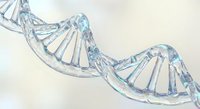 DNA double helix structure with transparent crystalline appearance showing genetic code spiral for medical research and biotechnology applications.