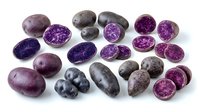 Fresh purple potatoes whole and sliced displaying vibrant interior colors, isolated on white background for culinary, food styling, recipe development, and agricultural marketing purposes.