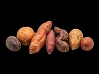 Assorted root vegetables including sweet potatoes, yams, and tubers isolated on transparent background. Ready for clipart, print-on-demand, sublimation, t-shirt design, and sticker applications.