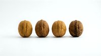Whole walnuts in shells arranged in a row on white background, isolated nuts ready for food, nutrition, and culinary design projects.