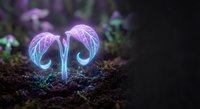 Glowing purple and blue bioluminescent mushrooms emerging from dark forest soil with magical ethereal light effects for fantasy and nature designs.