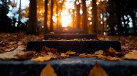 Atmospheric autumn forest stairs covered in fallen maple leaves at golden sunset, sunlight streaming through trees creating magical woodland ambiance.