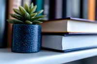 Small succulent plant in blue textured ceramic pot next to stack of books on white surface, creating minimalist home office or study atmosphere with soft bokeh background.