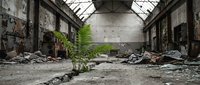 Abandoned industrial warehouse interior with green plants growing through concrete floor cracks, showcasing nature reclaiming urban decay and post-apocalyptic atmosphere.