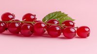 Fresh red currants branch with green leaf on pink background, bright glossy berries close up view for healthy food and natural vitamin concept.