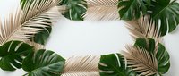 Tropical palm leaves and monstera foliage frame creating natural border on white background for summer design projects and botanical decorations.