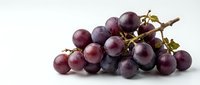 Fresh purple grapes cluster with green leaves on white background, organic fruit for healthy eating and wine making concepts.